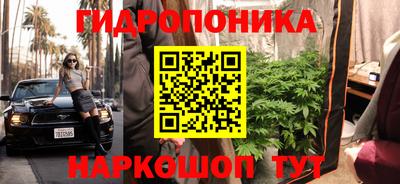 твердый Лесосибирск