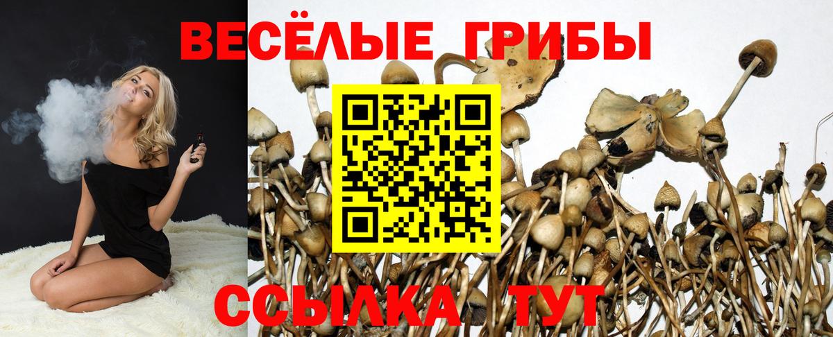 Галлюциногенные грибы мицелий  Вход с VPN  Таганрог 