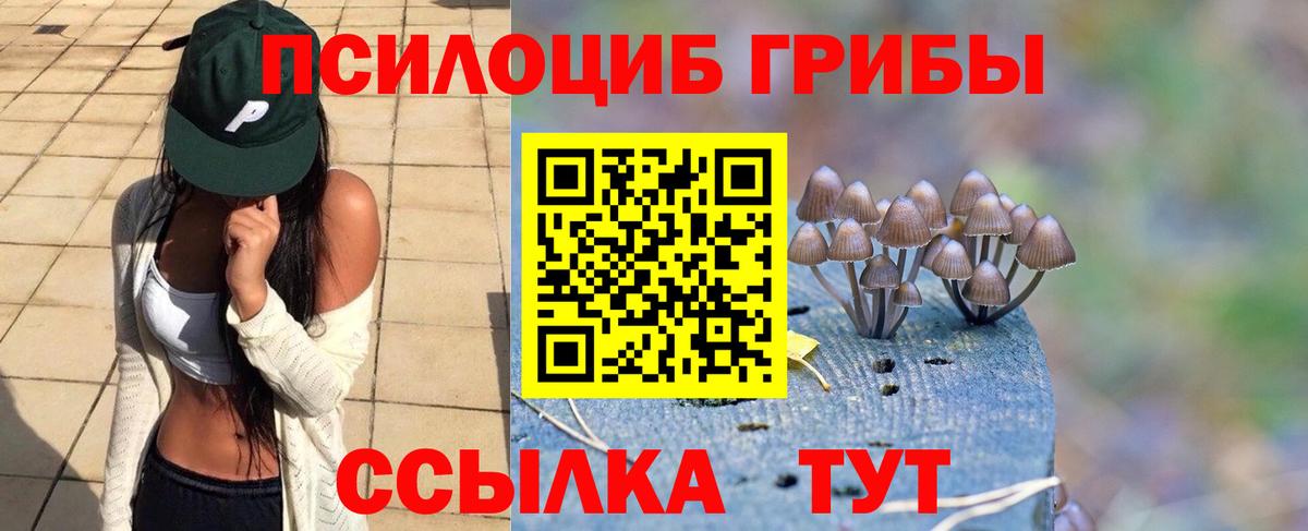 Галлюциногенные грибы Cubensis Таганрог